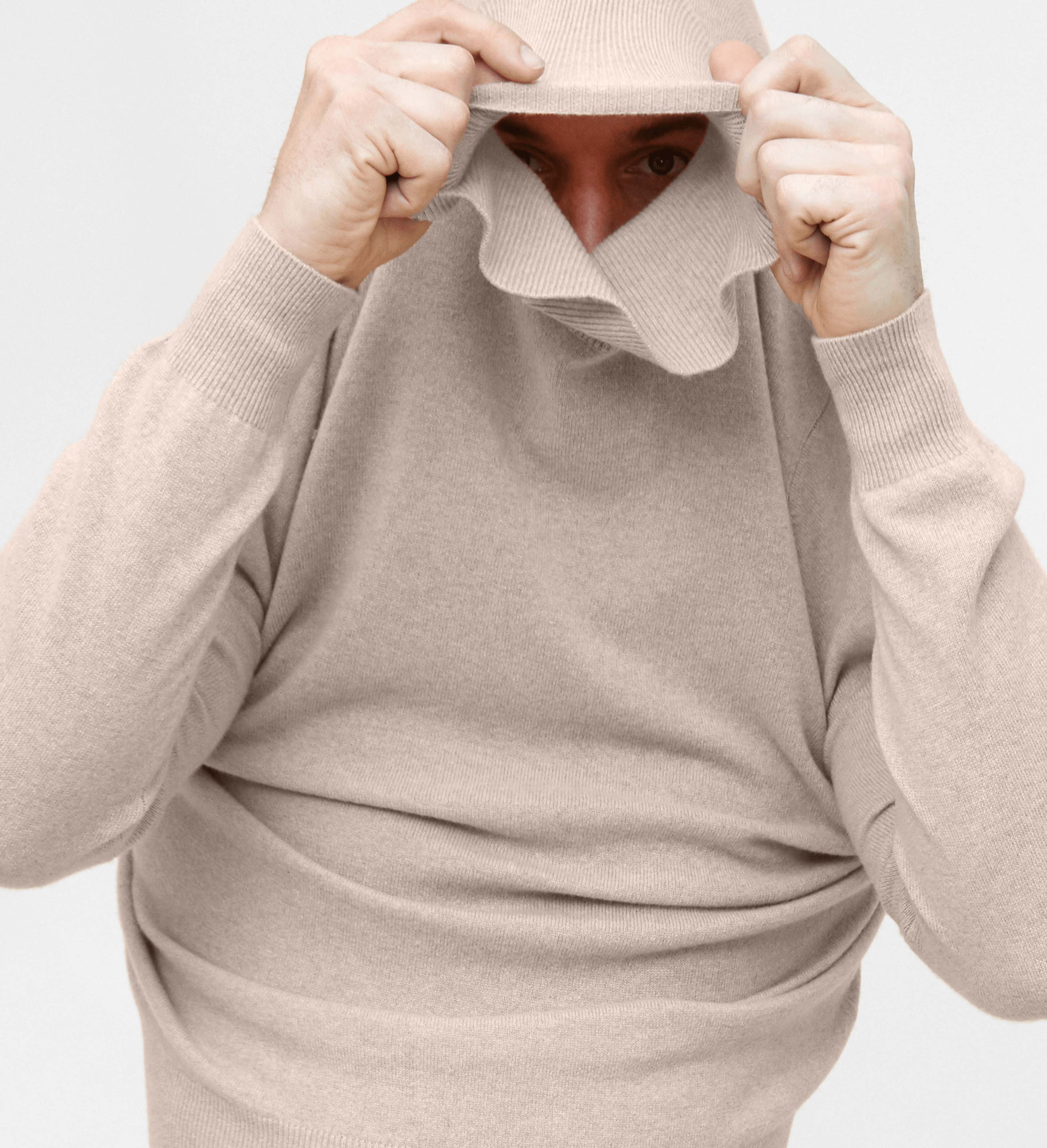 The Cashmere Turtleneck Basic Sweater