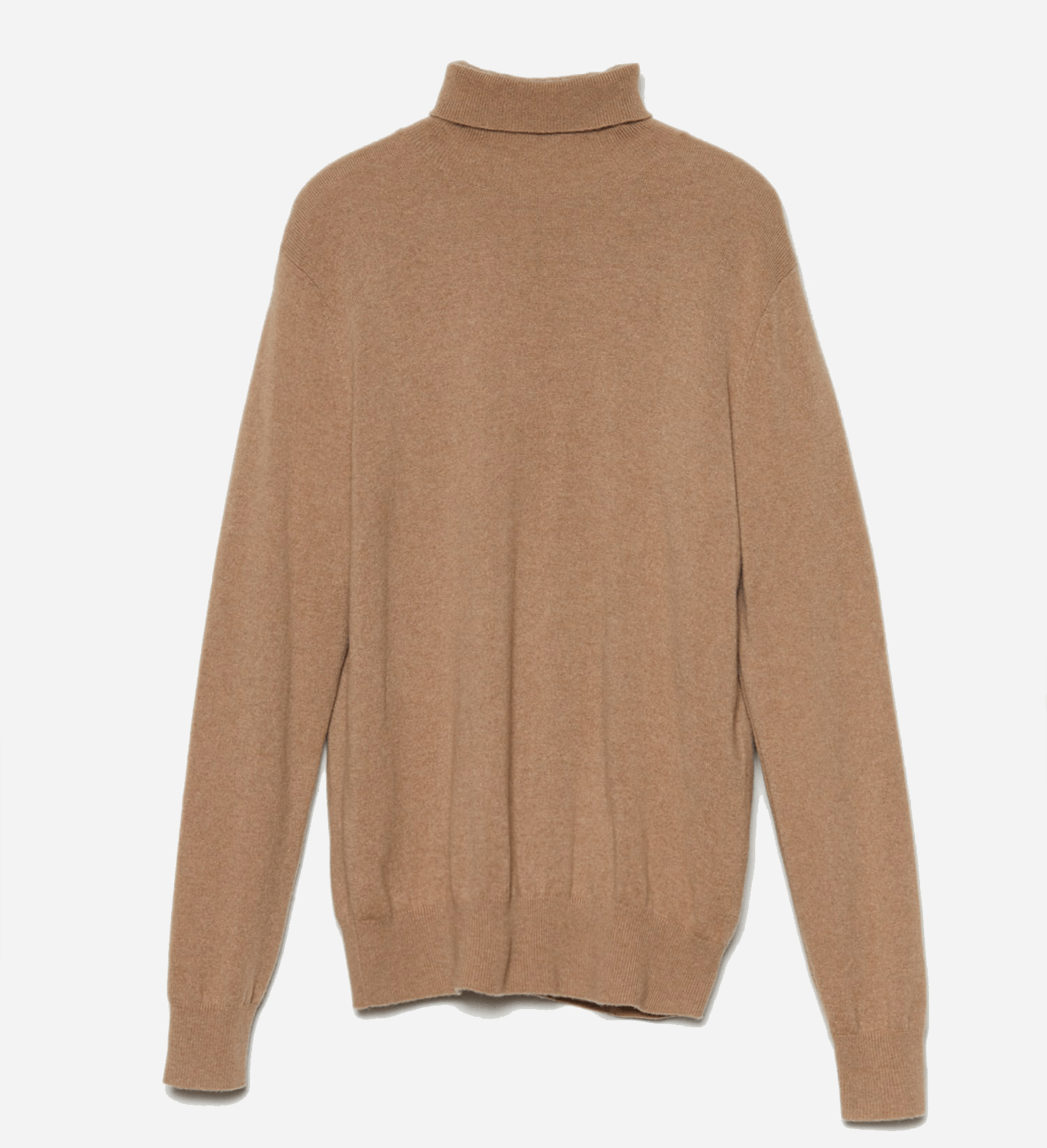 The Cashmere Turtleneck Basic Sweater