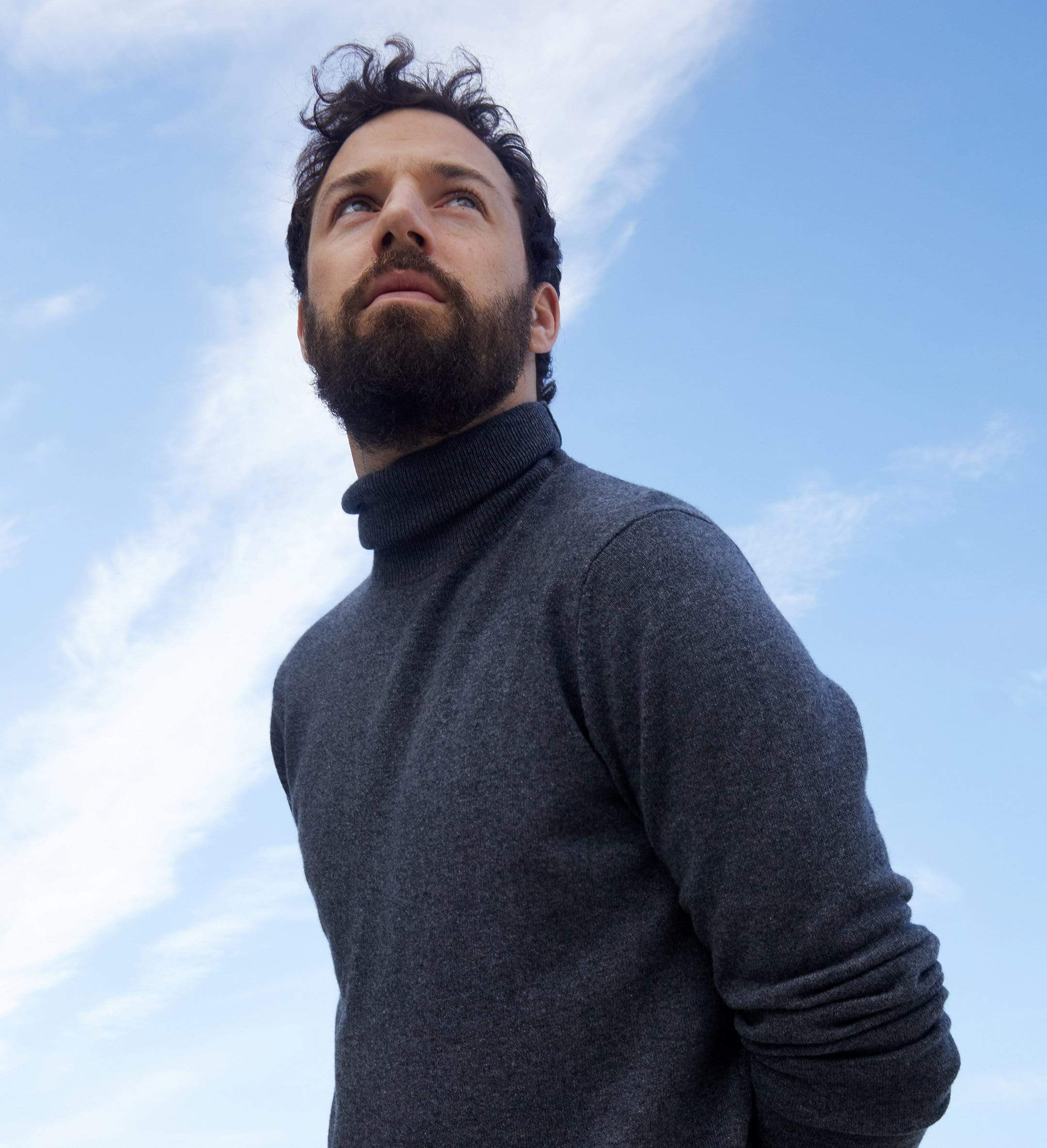 The Cashmere Turtleneck Basic Sweater