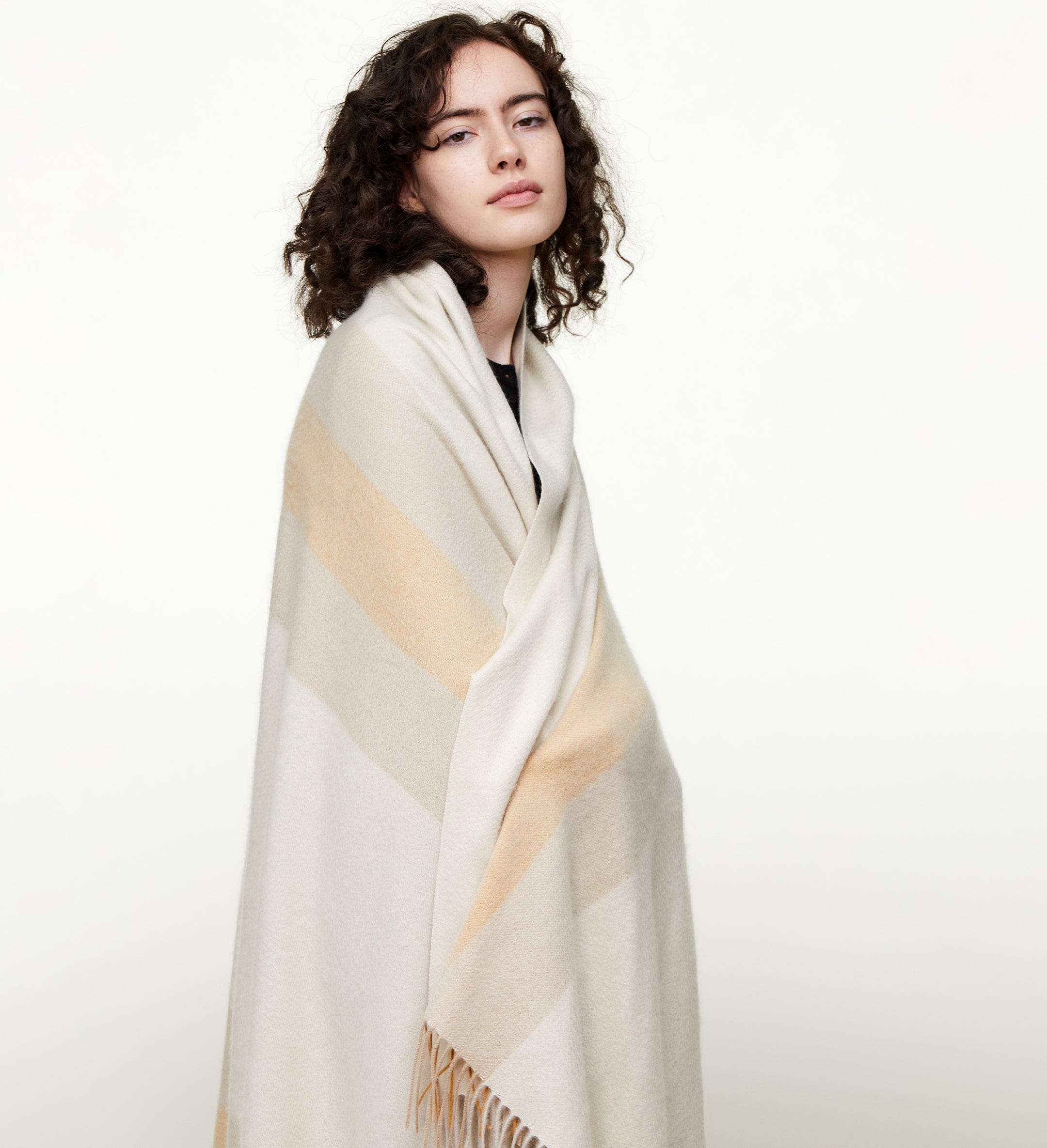 The Multicolored Striped Cashmere Throw Blanket with Decorative Fringe